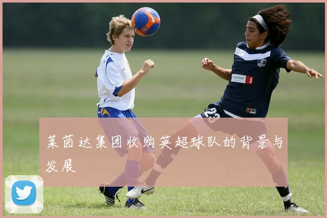 莱茵达集团收购英超球队的背景与发展