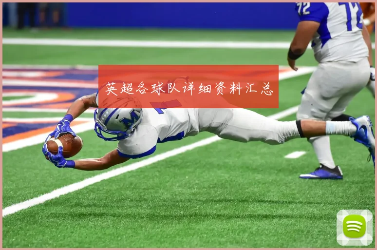 英超各球队详细资料汇总