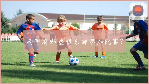 西甲有哪些俱乐部参加比赛？