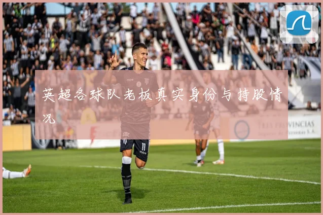 英超各球队老板真实身份与持股情况