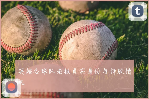 英超各球队老板真实身份与持股情况