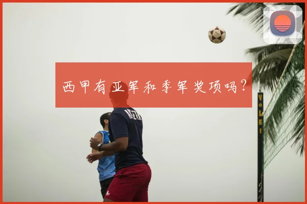 西甲有亚军和季军奖项吗？