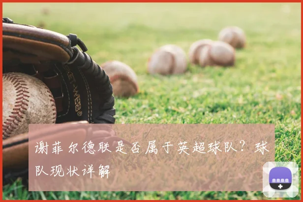 谢菲尔德联是否属于英超球队？球队现状详解